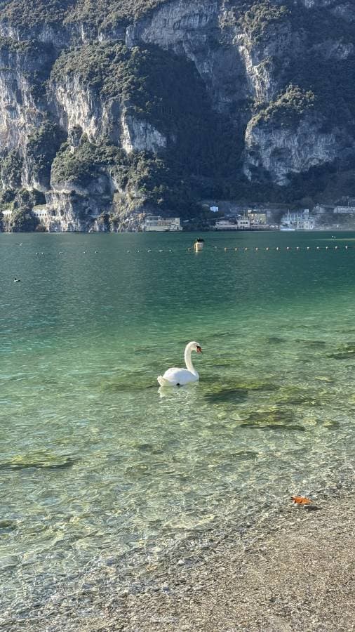 Фото 6 от Maxim C. об аренде Jeep Compass в Италии (01.11.25)