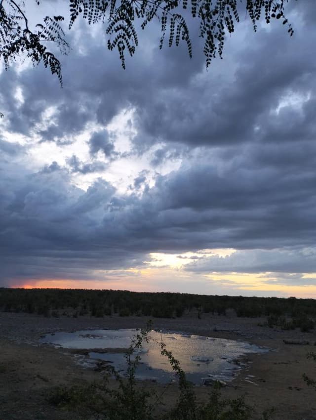 Foto 3 de JOSE ANTONIO M. (10/1/24)