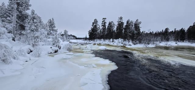 Foto 6 van Riette M. (25-1-26)