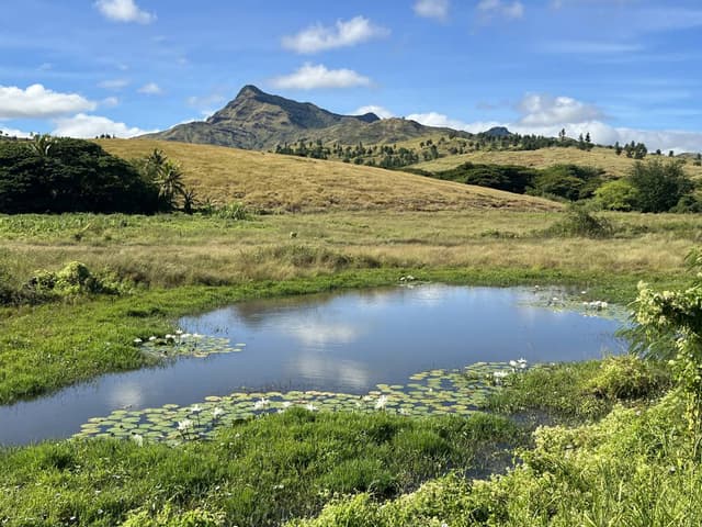 Photo 4 by Emily K. about renting a Honda Fit in Nadi (6/13/25)