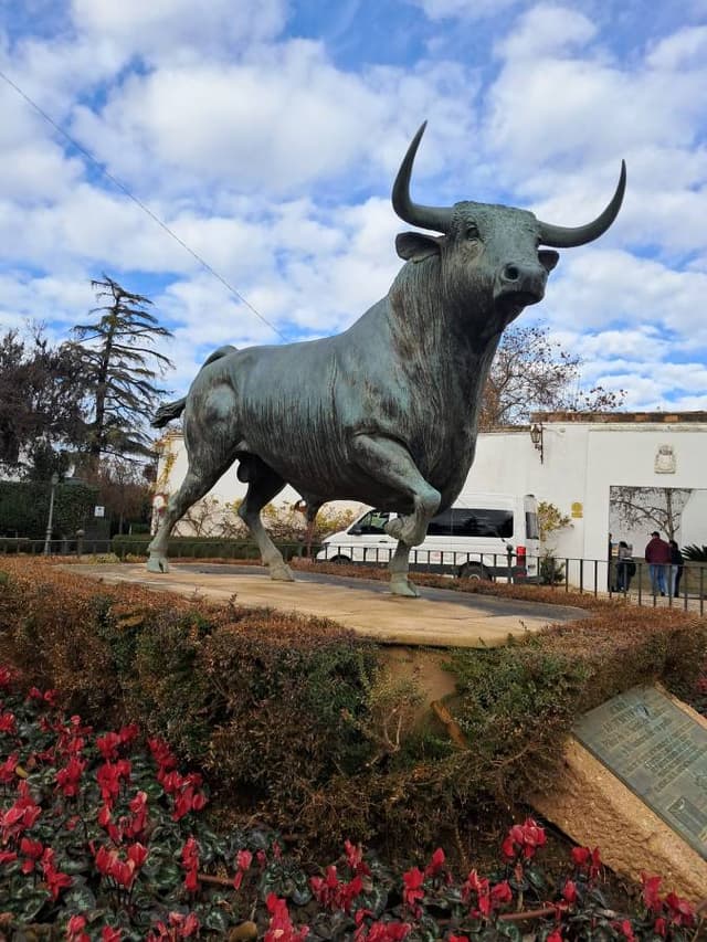 Zdjęcie 3 wykonane przez Krzysztof L. (8.01.26)