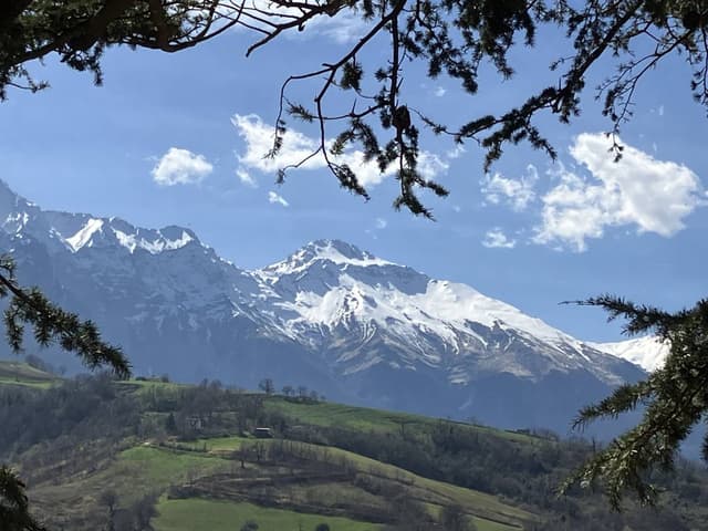 Photo 4 by Carlotta C. (4/6/24)