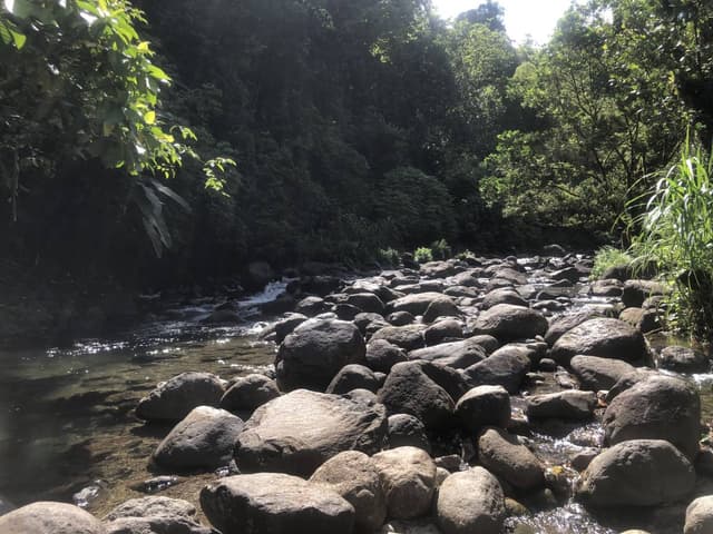 Photo 4 par Yvelise M. (21/09/25)