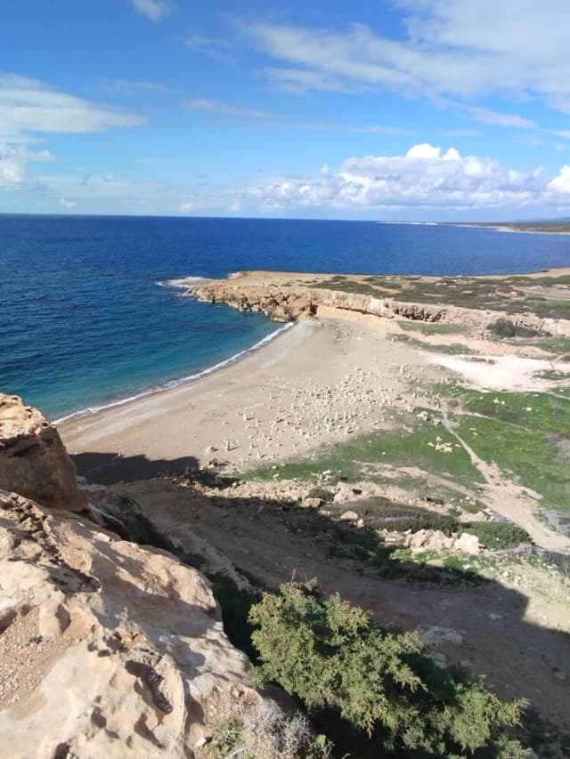 Zdjęcie 3 wykonane przez Jaroslaw P. dotyczące wynajmu Volkswagen Up w na Lotnisku w Pafos dnia (31.01.25)