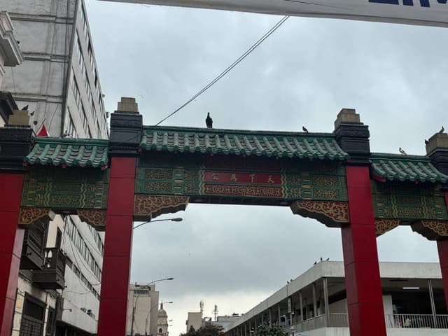 Foto 13 de Nidia yazmin G. (22/1/26)