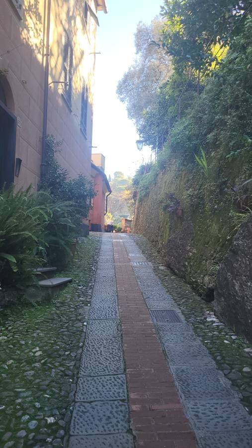 Fotografia 5 realizată de Valentin P. (06.11.25)