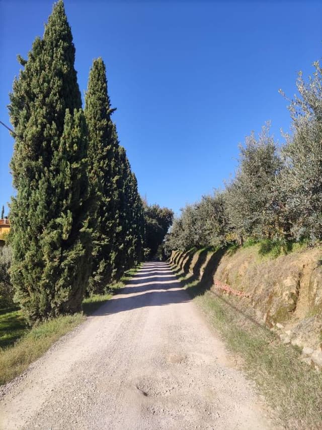 Foto 2 di Andrea S. (02/11/24)