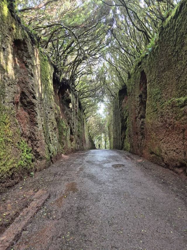 Fotografia 3 realizată de Elena M. (01.01.26)