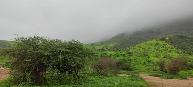 Photo by Khalid A. about renting a Volkswagen T-Roc at Salalah Airport (8/17/24)