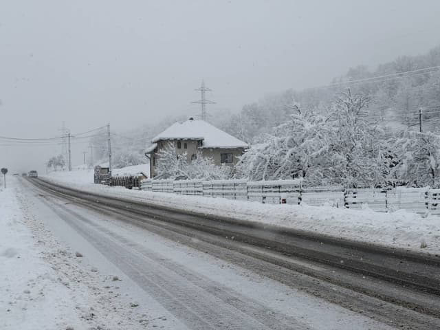 Photo 2 by VASILE IOAN M. (1/7/26)