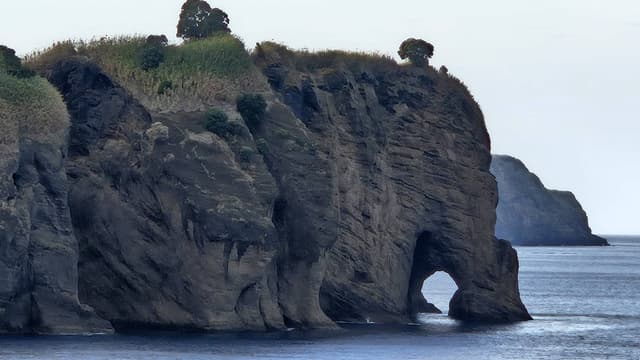 Photo 7 by Isabella V. about renting a Fiat Panda in Ponta Delgada (10/30/24)