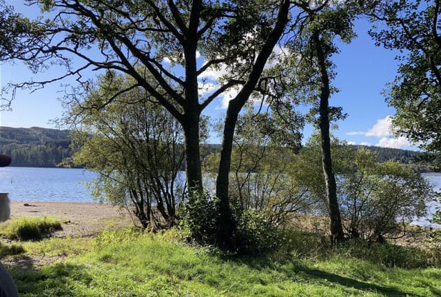 Photo by Louise M. (9/27/22)