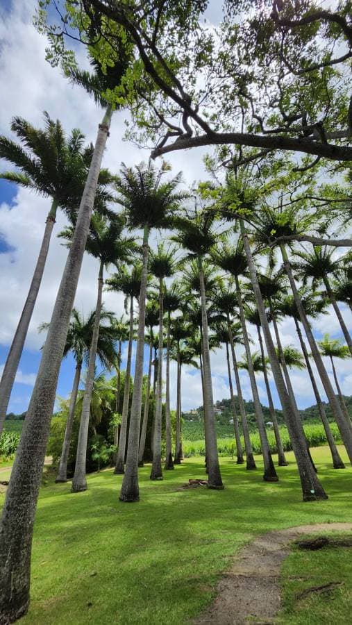 Photo 3 by Stephane R. (10/5/25)