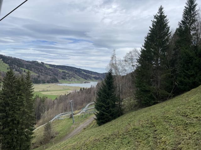 Photo 2 by Camelia M. about renting a Volkswagen Polo in Munich (4/5/24)