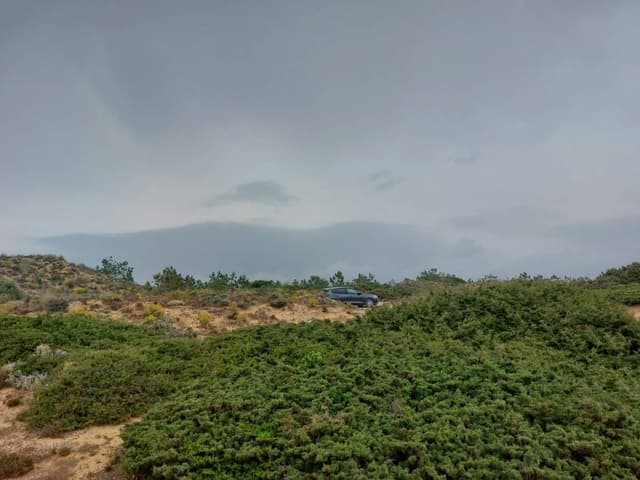 Foto door Marijnus D. (16-6-24)