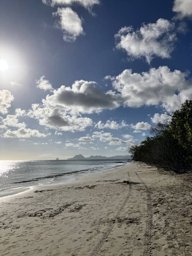 Photo 4 par Pierre F. (07/04/26)