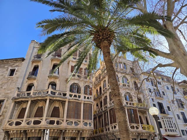 Foto 3 van Karin O. (22-2-26)