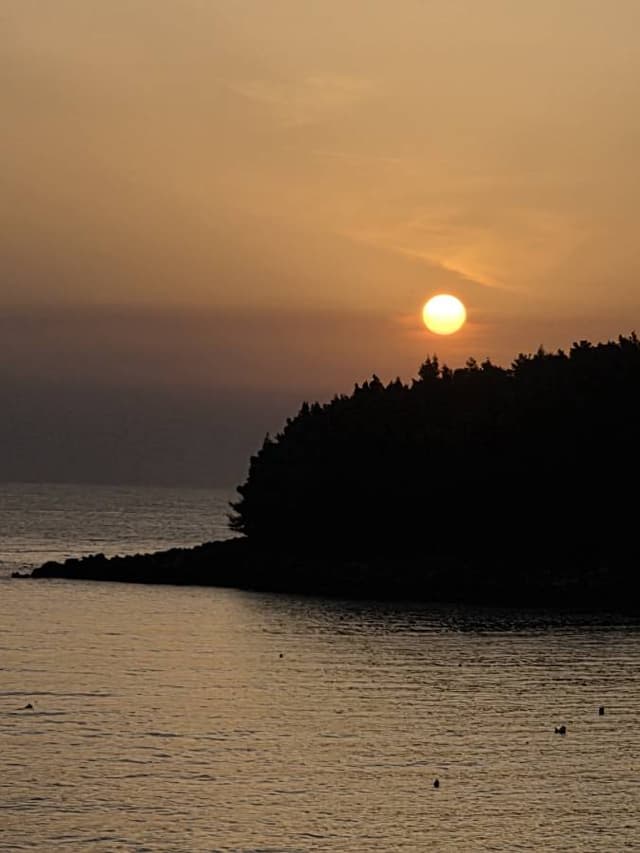 Photo par Marie Laurence B. (11/03/26)