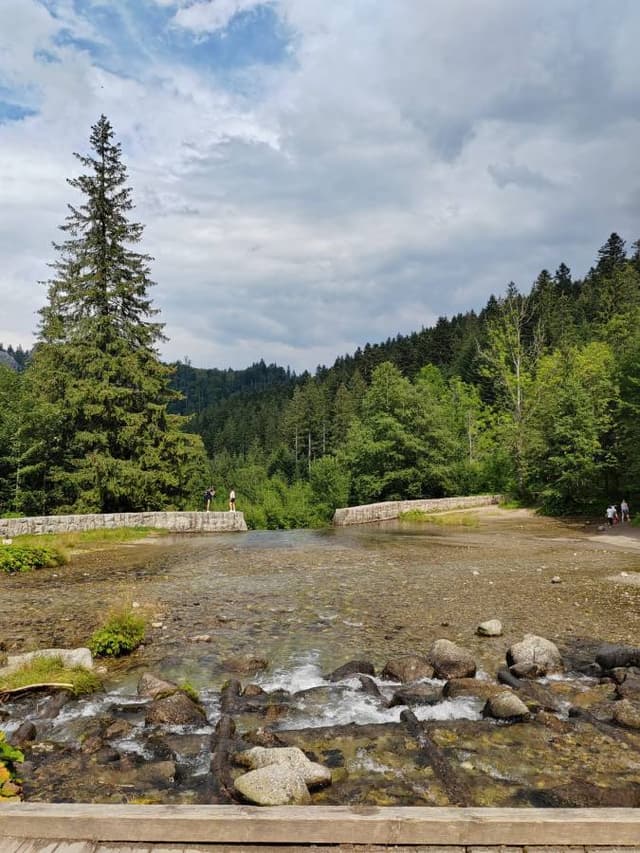 Photo 4 by Mohammad zubair M. about hiring a Toyota C-HR in Wroclaw (24/08/23)