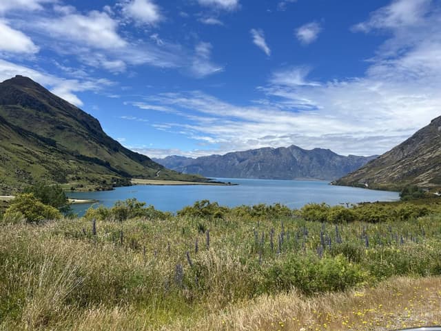 Photo 9 by Hillary E. (1/7/26)