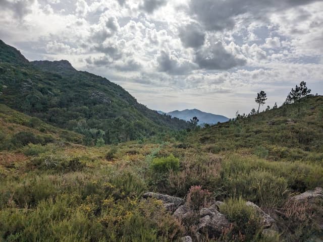 Photo by Amy K. about renting a Renault Clio Aut. in Guimaraes (10/16/23)