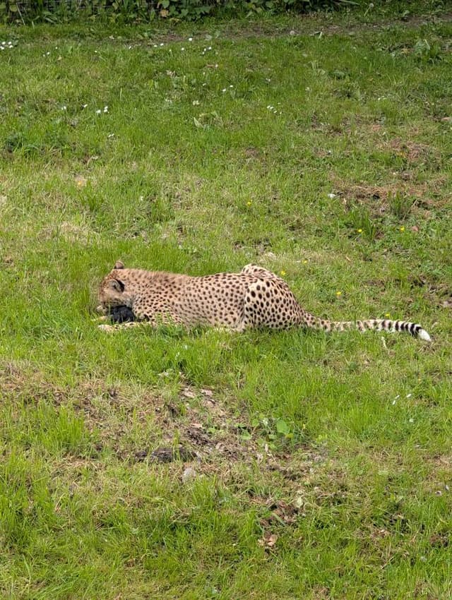 Photo 4 by Vadims M. (5/20/26)