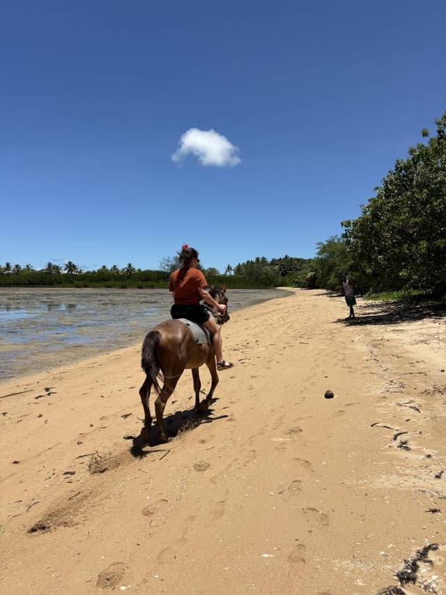 Photo 1 by Sarah P. (1/21/26)