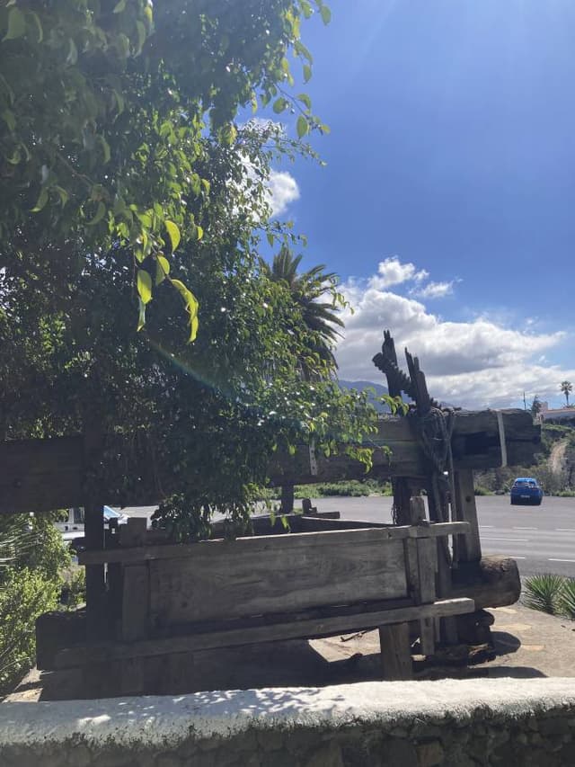 Billede af Jette J. (15.2.23)