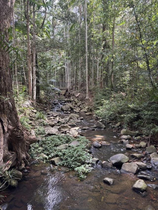 Photo 2 by Abbey P. (10/18/25)