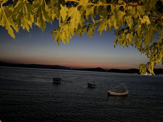 Fotografia 2 realizată de Talida C. (21.07.23)