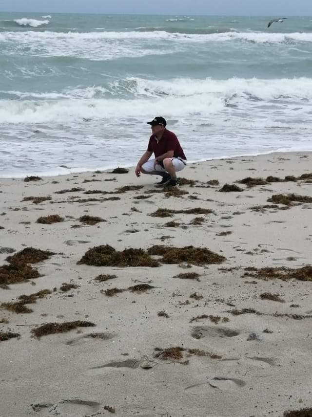 Photo by Nelson Eduardo P. (12/3/22)