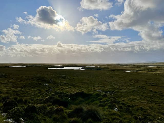 Photo par Olivier R. sur la location d'un(e) Ford Focus à Dublin (17/08/24)