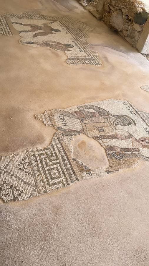 Photo 1 par OISSINI B. (15/05/23)