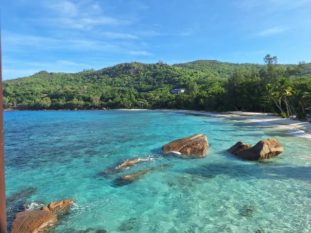 Photo 3 by Gunther N. (2/9/26)