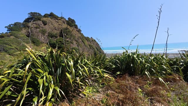 Photo 3 by Alain B. about hiring a Mazda Demio at Christchurch Airport (20/11/25)