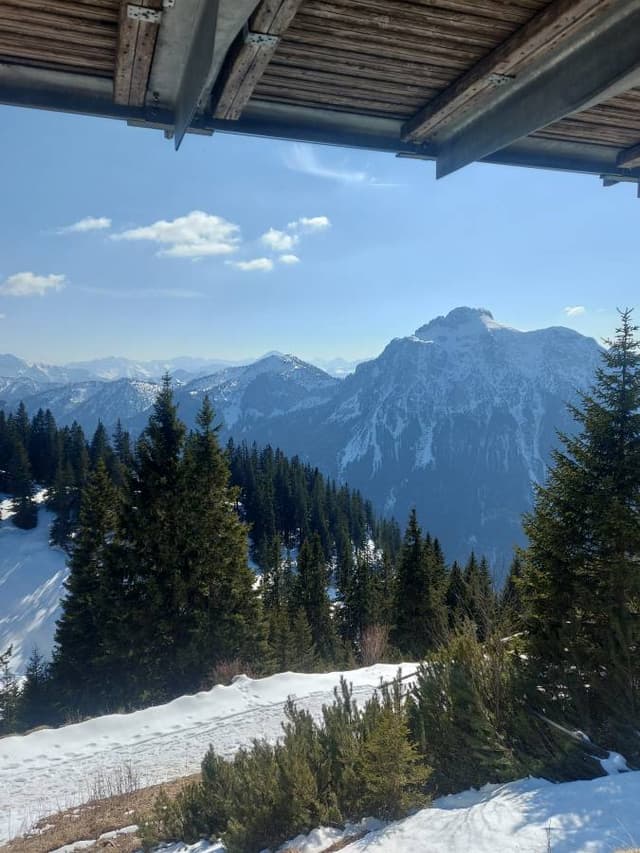 Gabor Tibor T. 6. számú fényképe (26. 03. 25.)