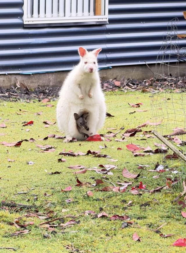 Photo 2 by Anthea H. (11/5/25)