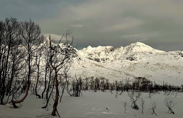 Foto 2 van Eric T. (24-12-25)