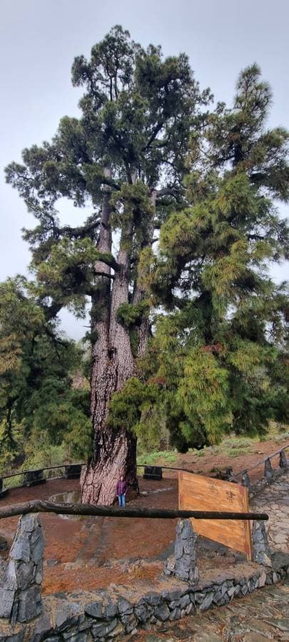 Photo 4 by Jean Laurent W. (3/27/26)