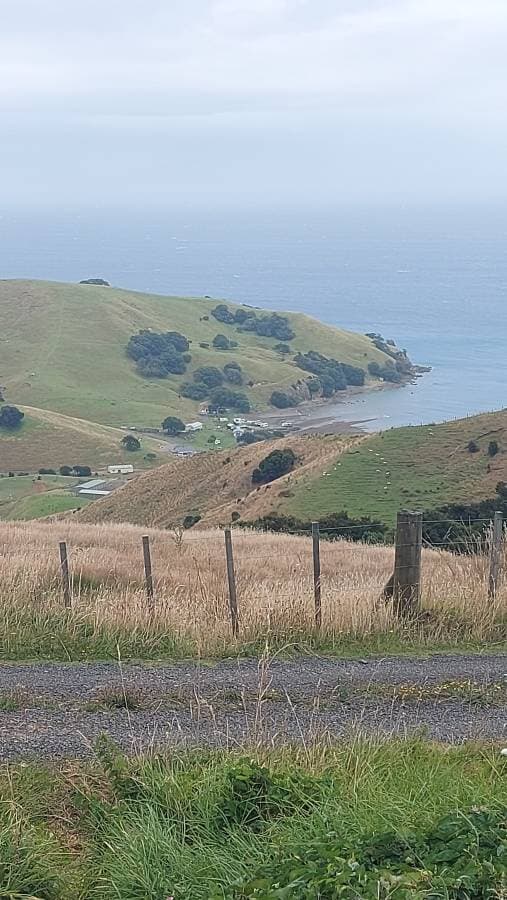 Photo 8 by Julie D. about renting a Toyota Aqua at Auckland Airport (1/30/25)