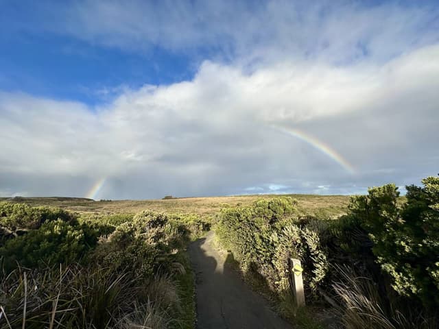 Photo 5 by Cindy O. (6/14/24)