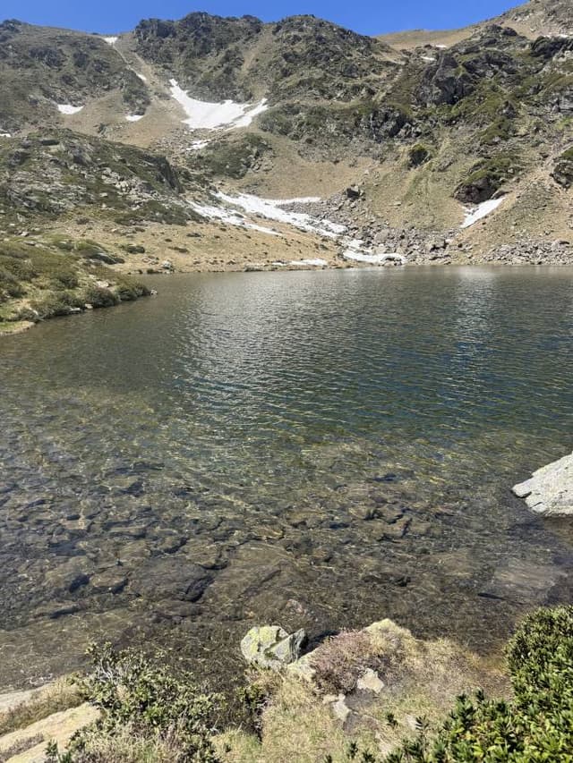 Photo 2 by Aviram A. (6/13/26)