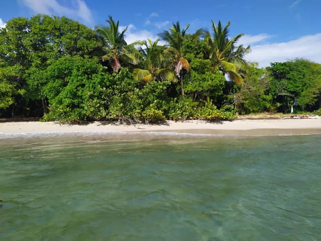 Foto 2 di Beniamino R. (10/01/23)