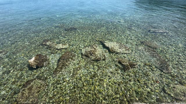 Foto 3 di Antonio P. (14/09/25)