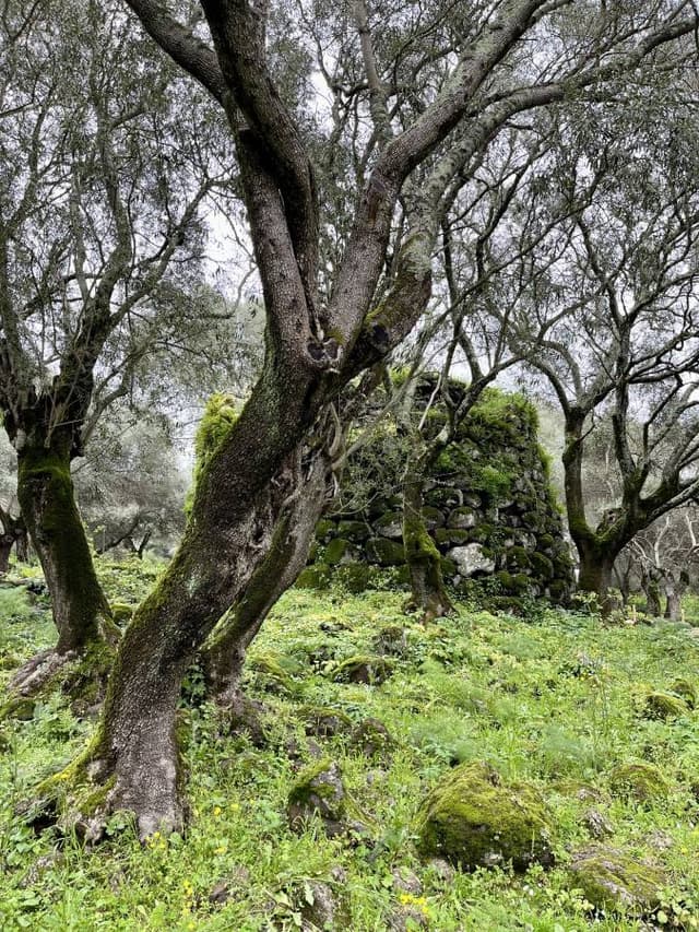 Zdjęcie 6 wykonane przez Przemyslaw K. (4.04.24)
