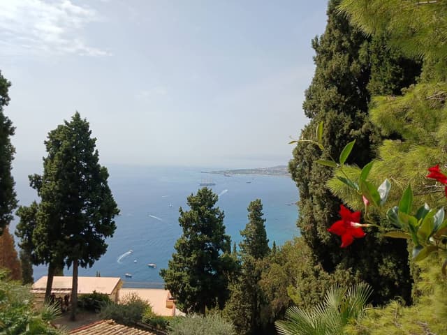 Foto 3 de DANIEL HORACIO B. (10/9/24)