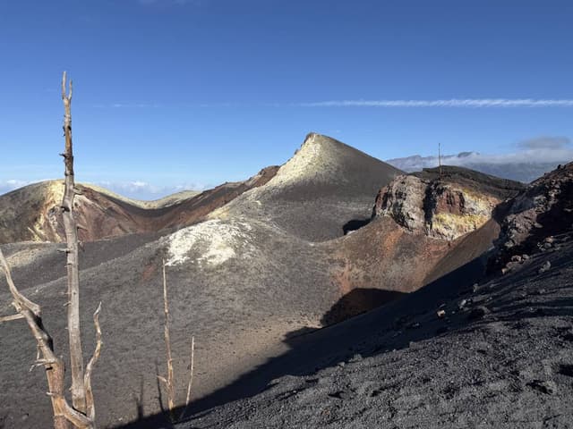 Photo 2 by Juan ma M. (2/12/26)