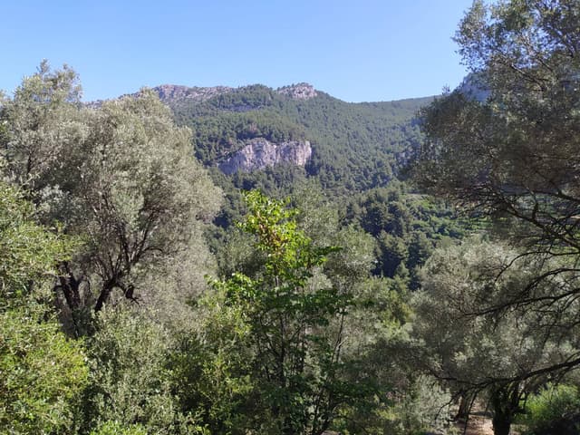 Photo 2 by Gregory K. about renting a Seat Ibiza in Samos (7/4/25)
