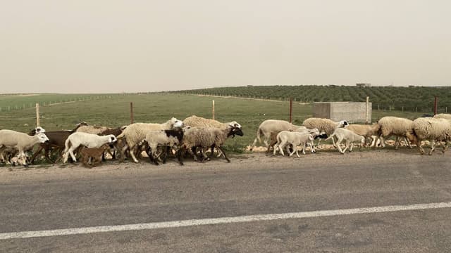 Photo 2 par BAKAOUIYA M. (11/04/26)