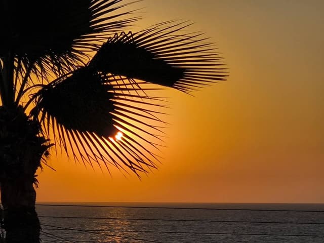 Φωτογραφία 4 από VASILEIOS M. με ενοικίαση Kia Picanto σε στη Λάρνακα (στις 8/26/24)